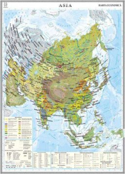 Asia. Harta economica
