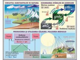 Circulaţia substanţelor în natură. Poluarea mediului / Lumina. Măsurarea vitezei luminii (duo)