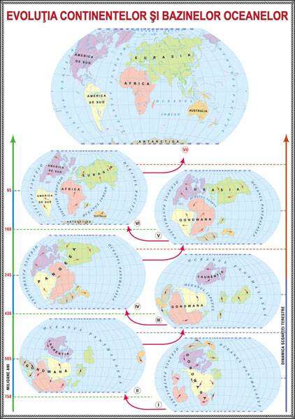 Evolutia continetelor si bazinelor oceanelor/Relieful major al continentelor si bazinelor oceanelor (fata-verso)