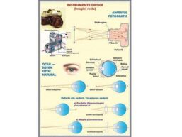 Instrumente optice I. Imagini reale / Instrumente optice II Imagini virtuale (duo)