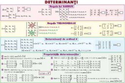 Plansa Determinanti/Functia putere (duo)