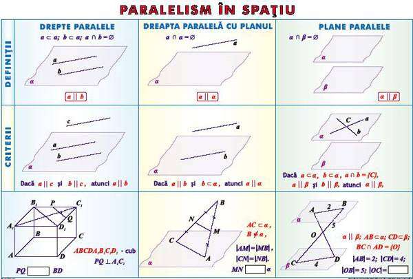 Plansa Elemente de teoria probabilitatilor/Paralelism in spatiu (duo) - imagine 2