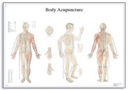 Plansa MERIDIANELE SI PUNCTELE ACUPUNCTURII PE CORPUL UMAN