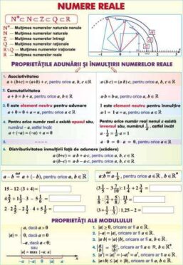 Plansa Numere reale/Functii (2) (duo)