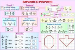 Plansa Rapoarte si proportii/Numere intregi (duo)