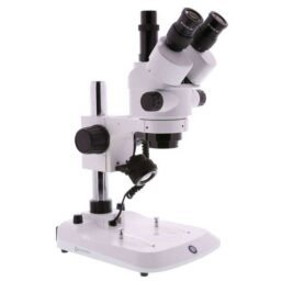 StereoBlue Zoom Trino