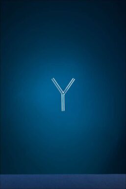 Tub de Legatura Forma: Y - 15-16 mm