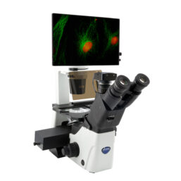 Microscop inversat digital cu fluorescență LED OPTIKA IM-300LD4D, 400x